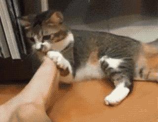 #一句话科普# 脚后跟开裂，不一定是因为皮肤干燥，可能是脚气和湿疹惹的祸。（图源