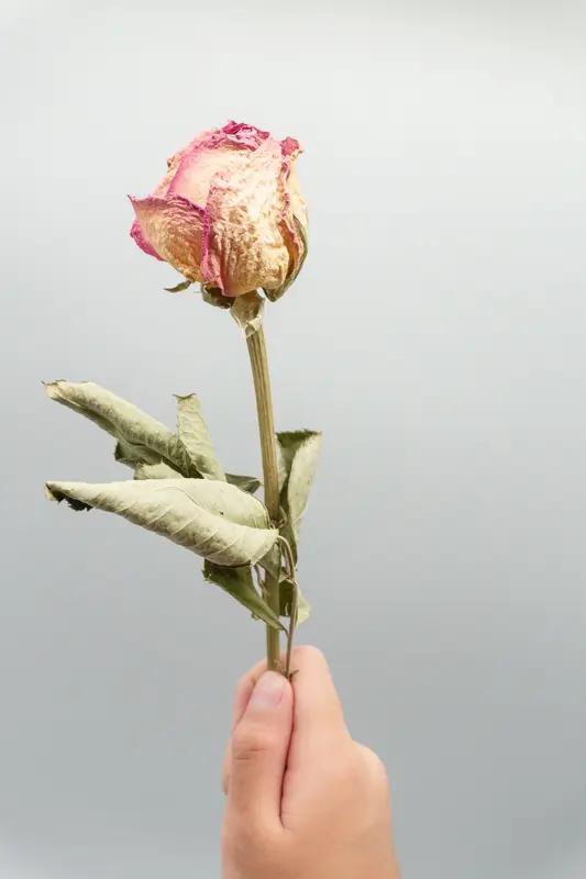 女朋友出轨了，这事儿搁谁身上都闹心。要说分不分，还真得好好琢磨琢磨。
不少人想着