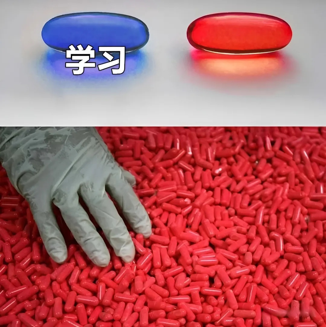 只要不是学习，干啥都行memes ​​​