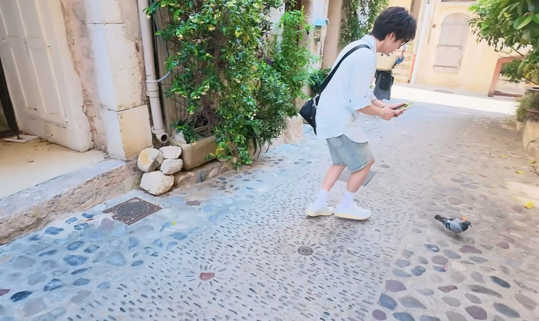 不再是被大鹅追着跑的孩子了。是追着鸽子跑的孩子： 