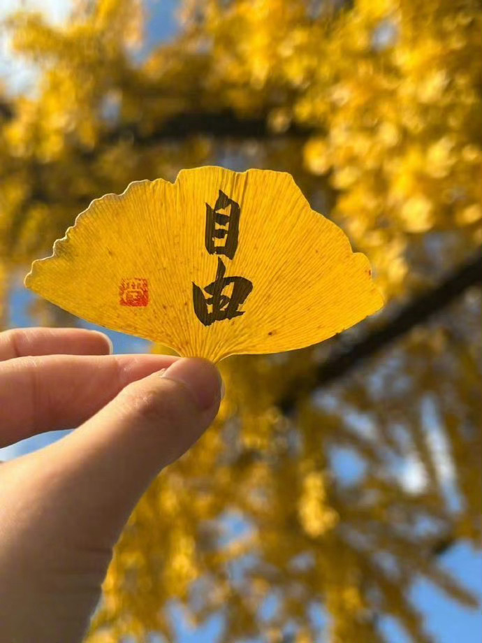 做个有风骨的人：做个有风骨的人，无论别人如何待你，都要自己珍视自己，对得起你内心