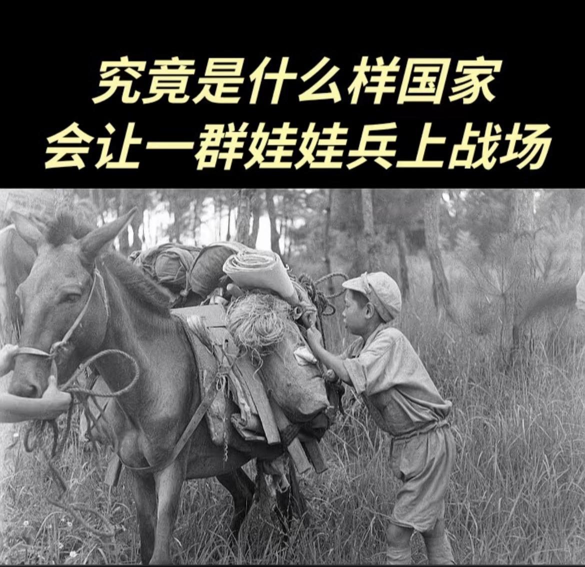 “如果战端一开，地无分南北，人无分老幼”一寸山河一寸血，十万青年十万军。抗日战争有多残酷只有经历的前辈知道。