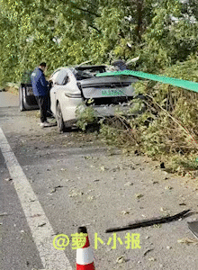 我要实名举报。
这里有一辆车，竟然想把整条公路护栏扛回家。
网友11月3日发布视