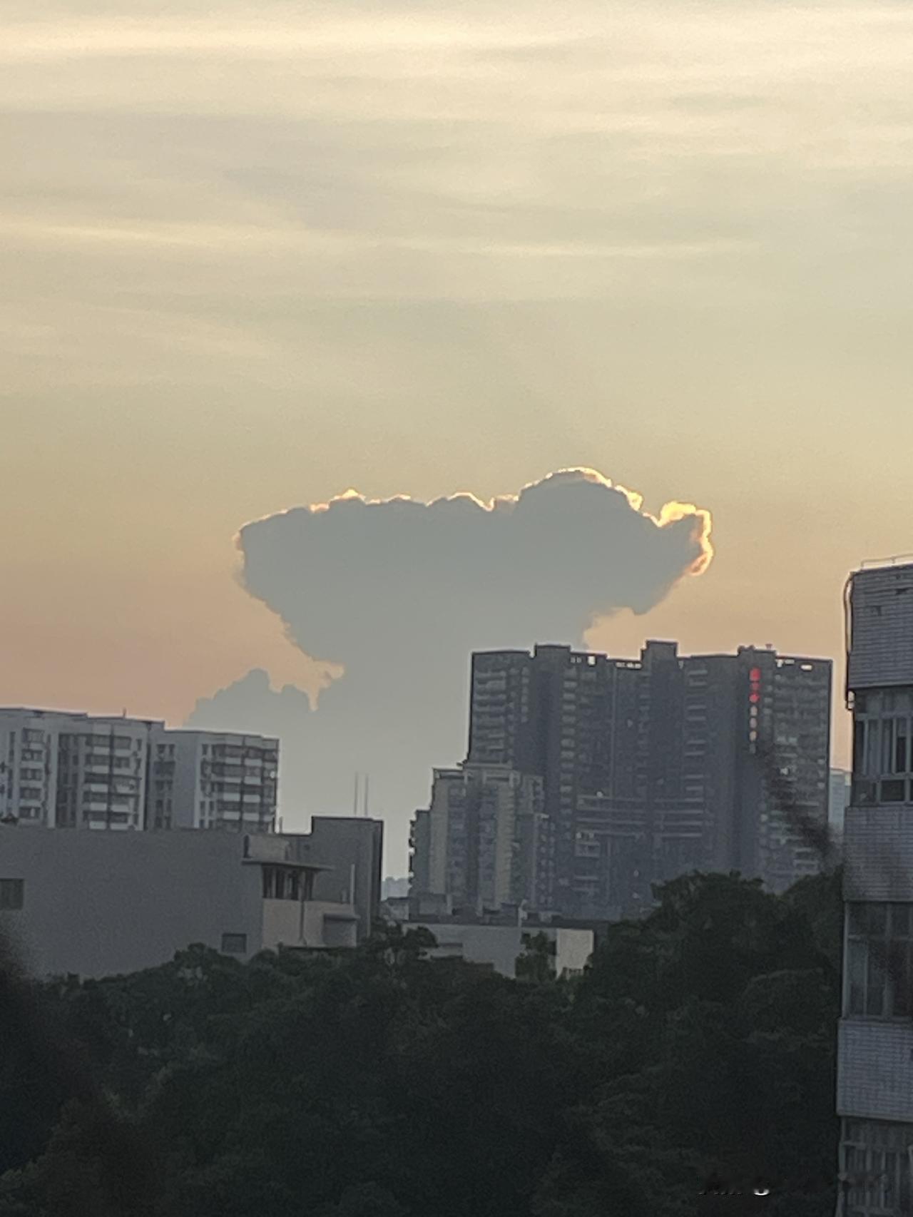 裂缝是光照进来的地方，也是你发芽的土壤。