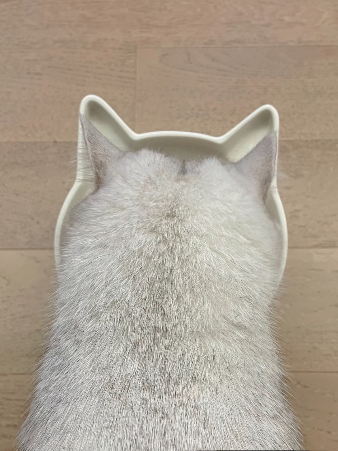 多款猫粮猫条检出有害物质我给小猫吃一款猫粮之后，只要它还吃就不敢轻易换猫粮，一定