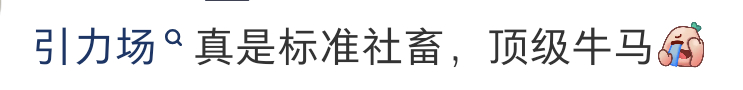 场子红稿来的 