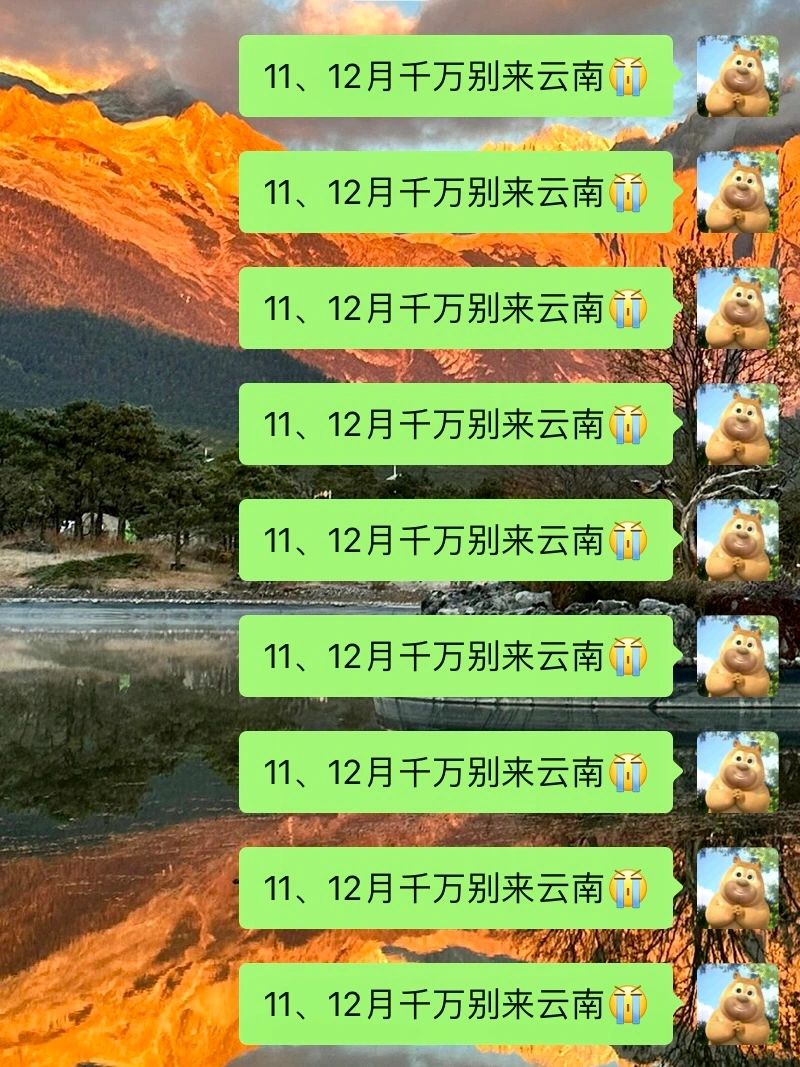 计划去✈️云南旅游的姐妹，听听劝吧❗️❗