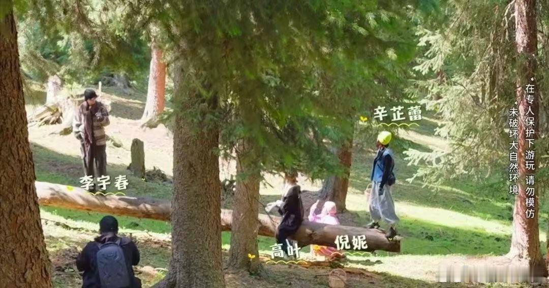 李宇春站跷跷板给辛芷蕾出片向野的我们 李宇春站在跷跷板上那个认真找角度的侧脸，真