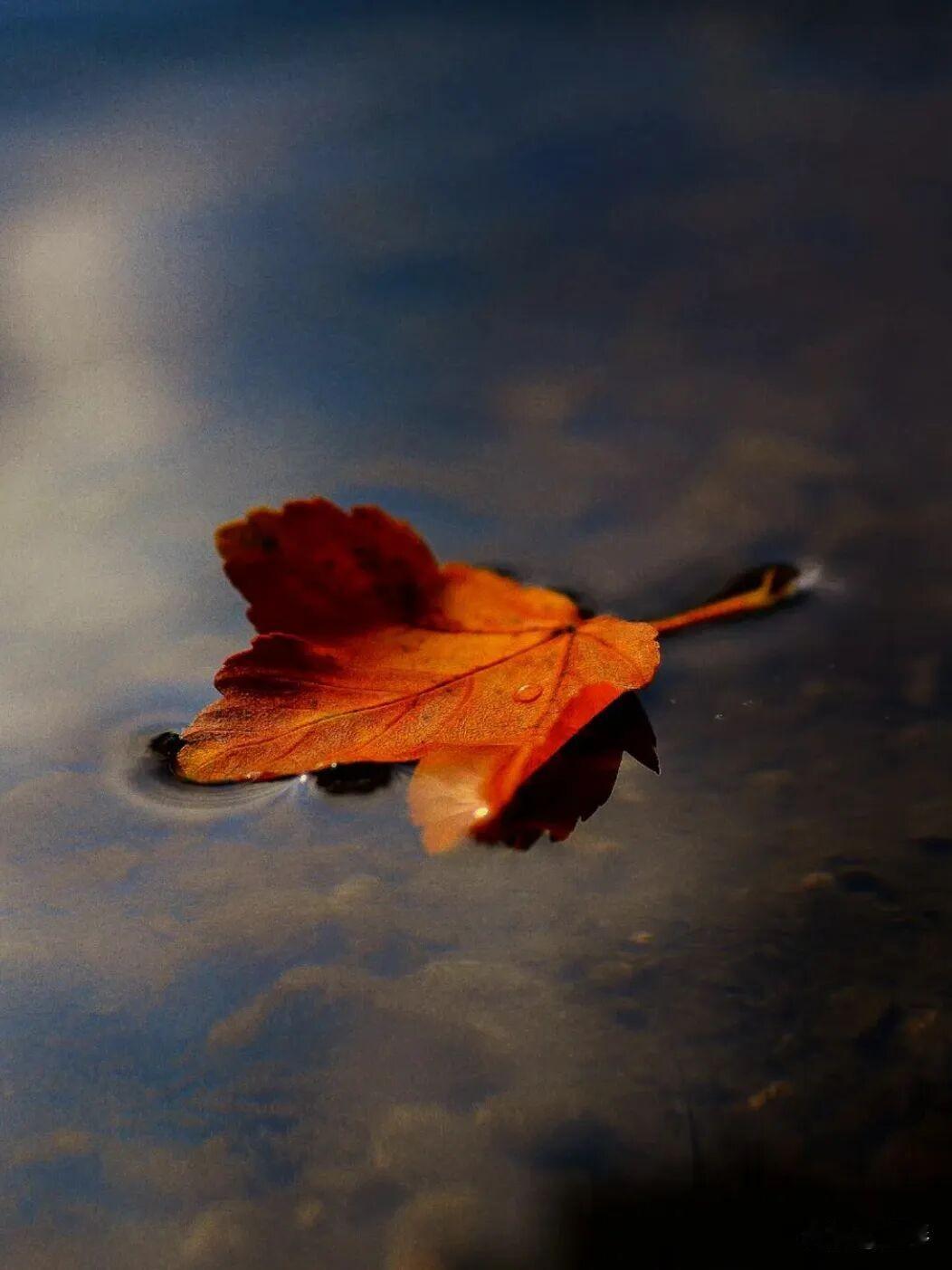 七律:唐戈破海斩豺狼

作者:墨琴


地脉雄浑气自昂，岂容孽畜乱天罡。

狂言