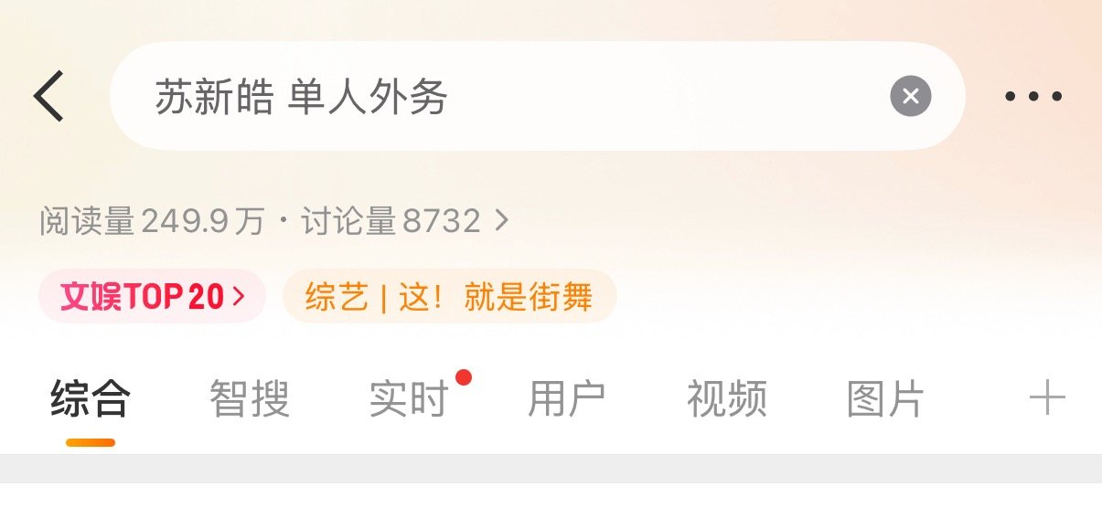 有人铁了心想要…… 苏新皓 单人外务