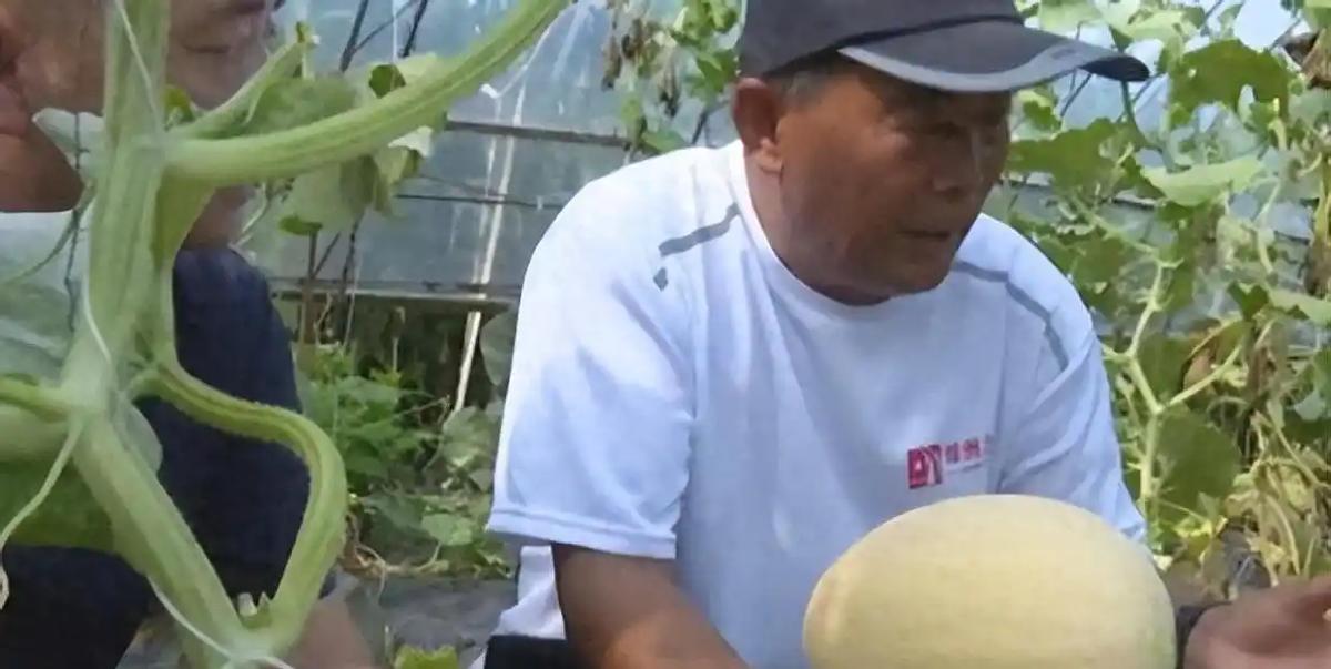 1998年，一个连高中都没读完的黑龙江农民，竟然让美国和日本的顶尖专家彻底“吃瘪