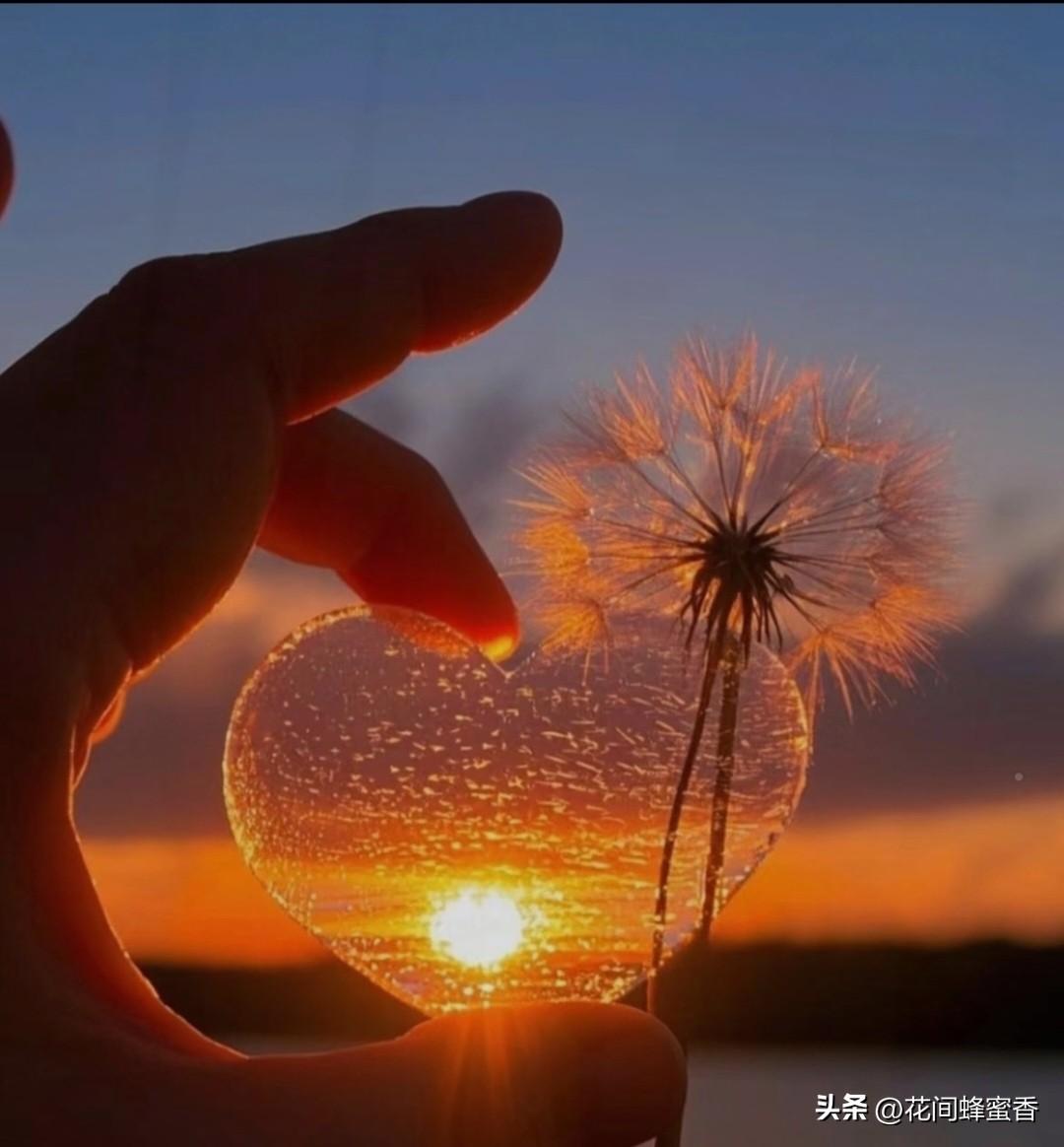 有什么东西看不见但很重要有些东西看不见，却支撑着生活与人心：信任、真心、底线、底