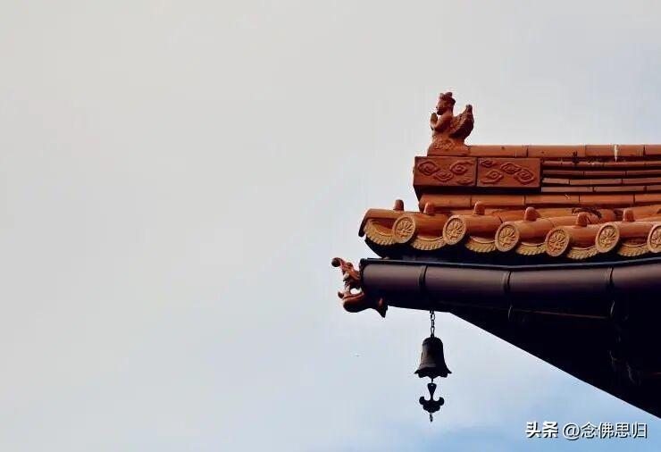 业障深重 以苦为乐
众生业障深重， 虽然这个世间很苦， 但是待的时间久了， 就习