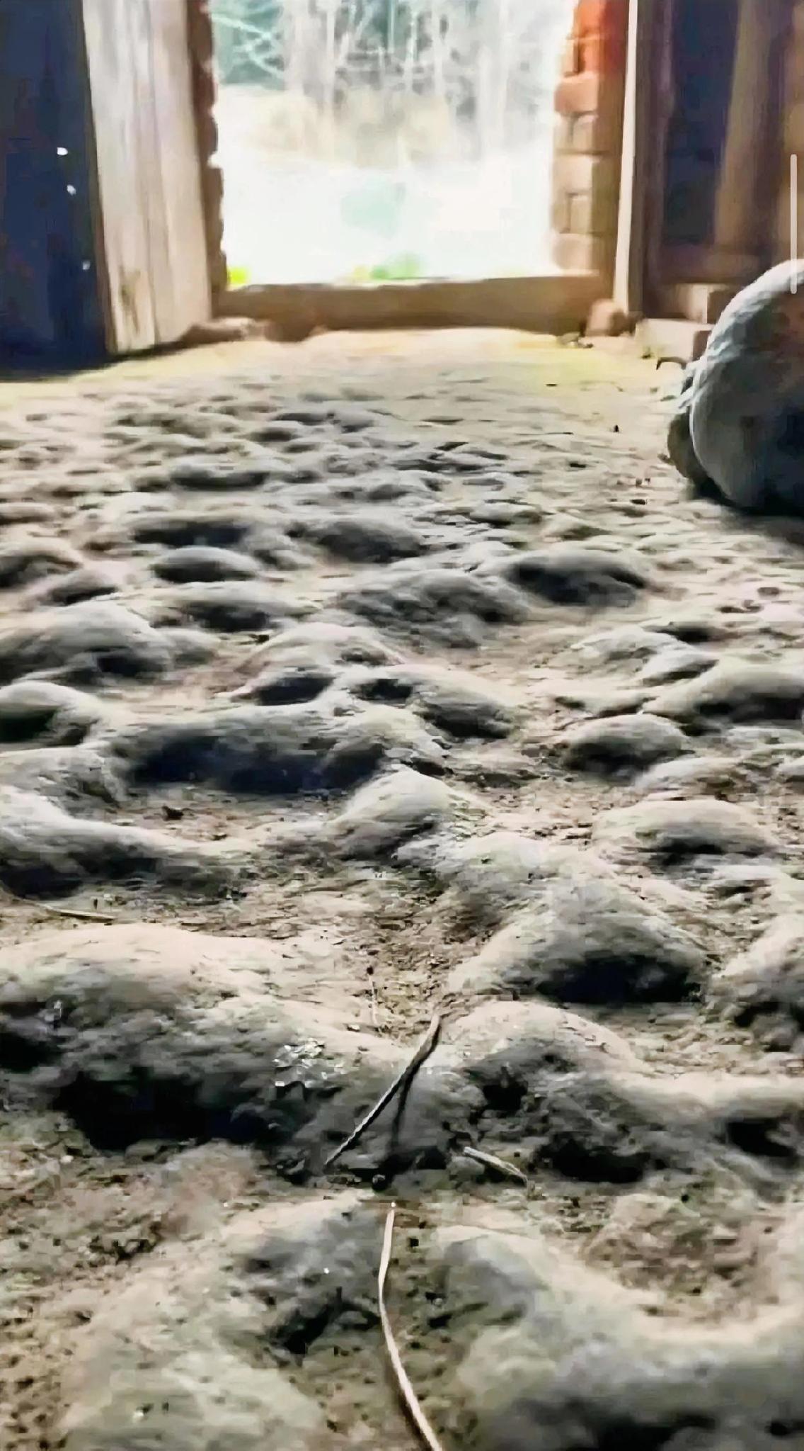 这样的房屋有住过的吗？