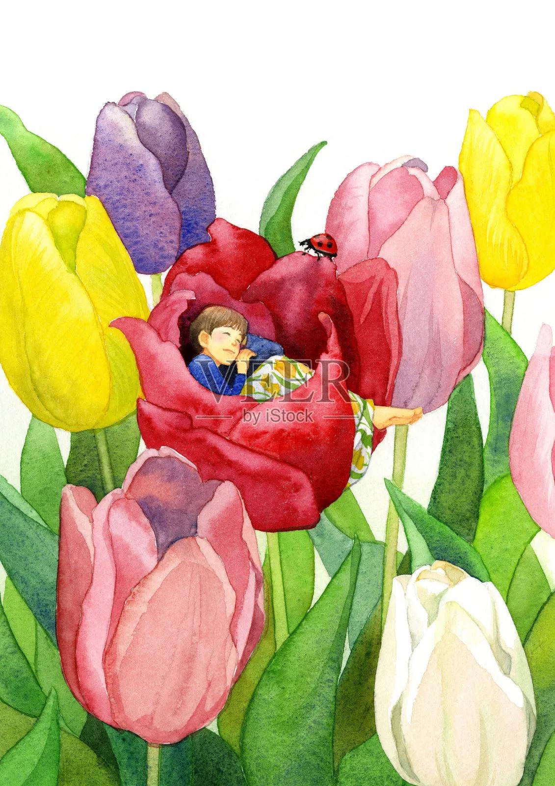 在爱好与男友之间的选择
 
林深的出租屋，是郁金香的领地。
 
从少女时在花摊撞