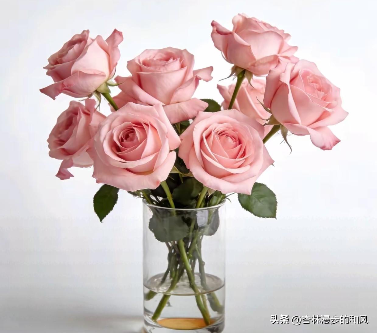 一句“贞洁是最高贵的聘礼”，咋就捅了马蜂窝？

网上这两天吵翻天了。

起因就是