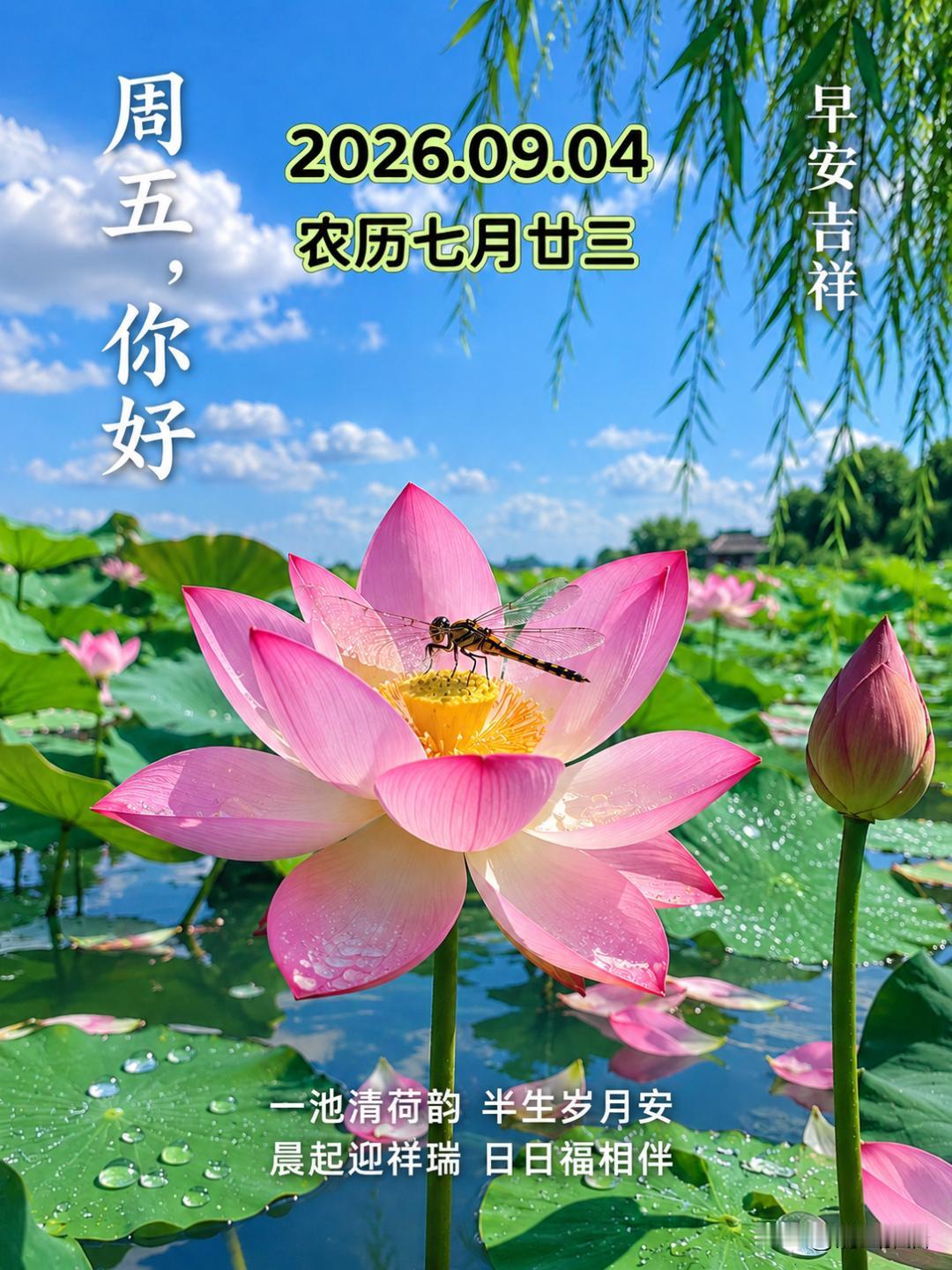 特朗普的政策是否加剧了美加对立特朗普到处惹是生非，挑起事端，制造矛盾，除了委内瑞