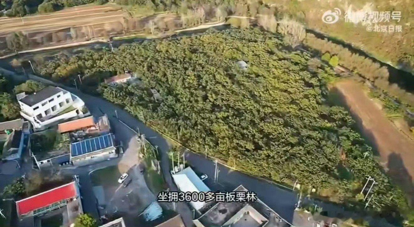 宝藏青年扎根北京宝藏山村绿色低碳北京范儿告别都市繁华，宝藏青年扎根北京山村。他们