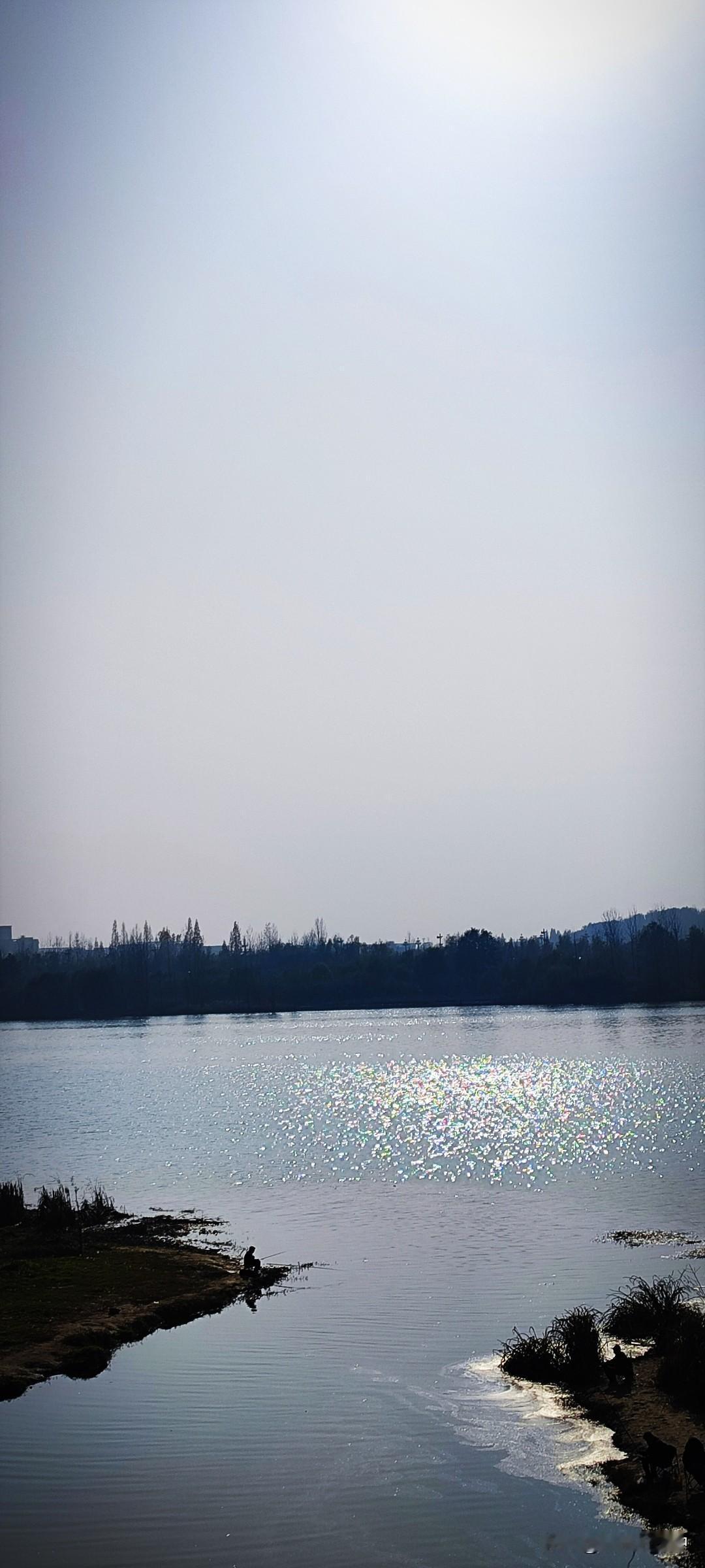 冬日生活打卡季过了龙岗大桥不远，就是相对原生些的江堤。灌木丛生，也无修建的步道。