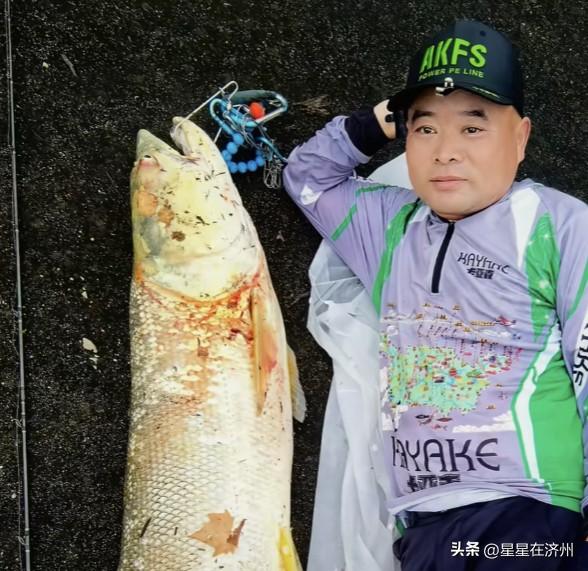 湖北钓鱼佬在江边钓到，
1.6米长大鱼，
经过当事人证实，
这条大鱼……
已经被