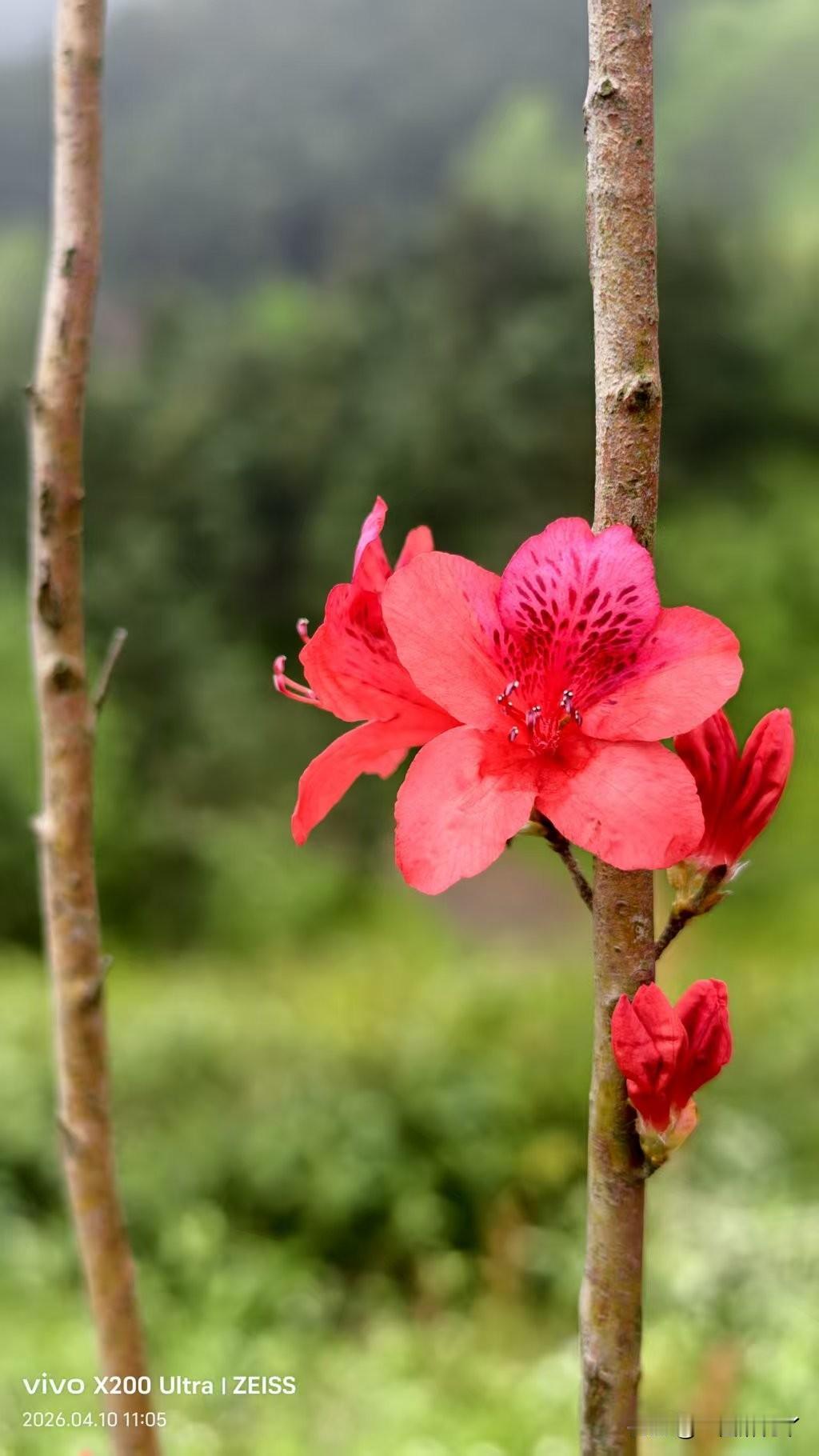 这段时间因为超市摸馒头的事，被大家批评没素质，我认真听了、也好好自省了，确实认识
