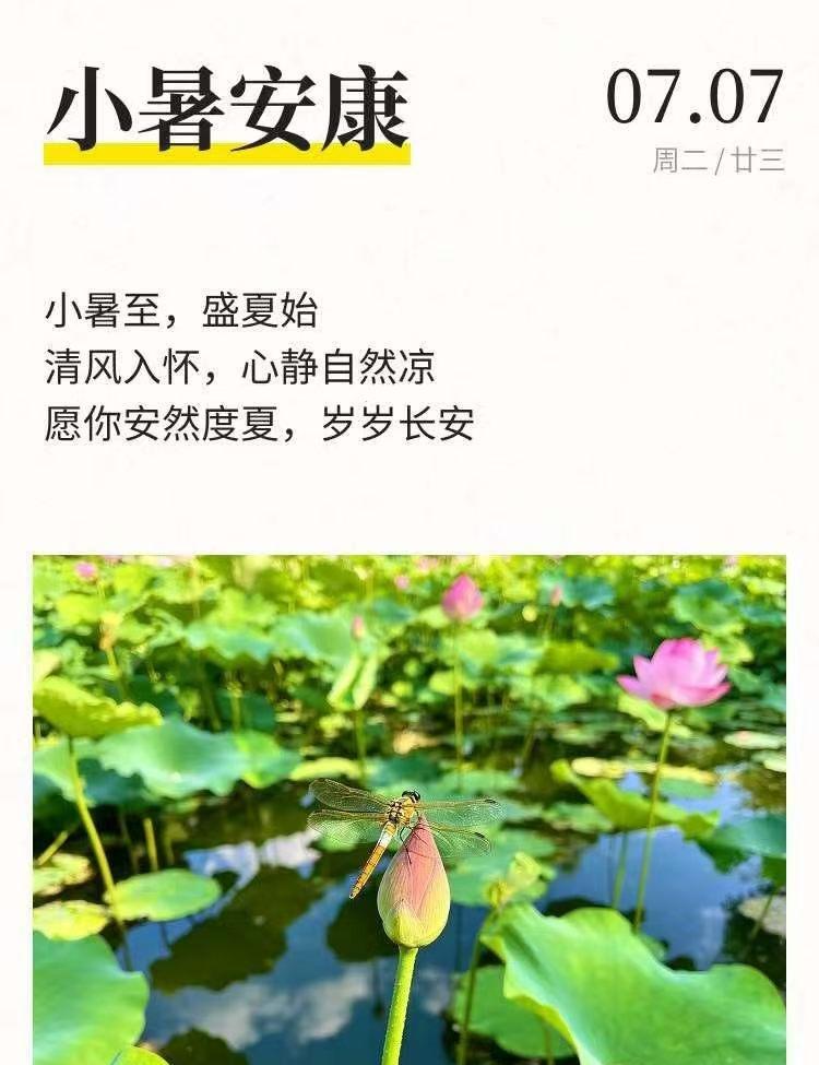 今日小暑｜阳气鼎盛，万事顺遂，岁岁安康
 
今日小暑，盛夏初盛，阳气升腾。
这是