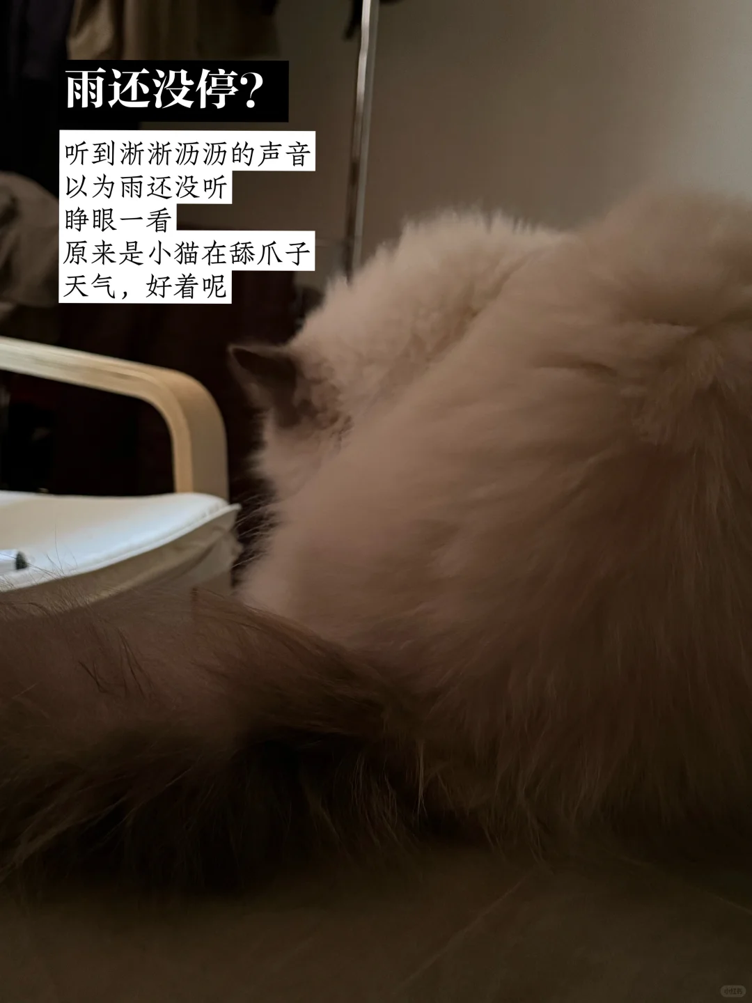 今日健身心情：💚