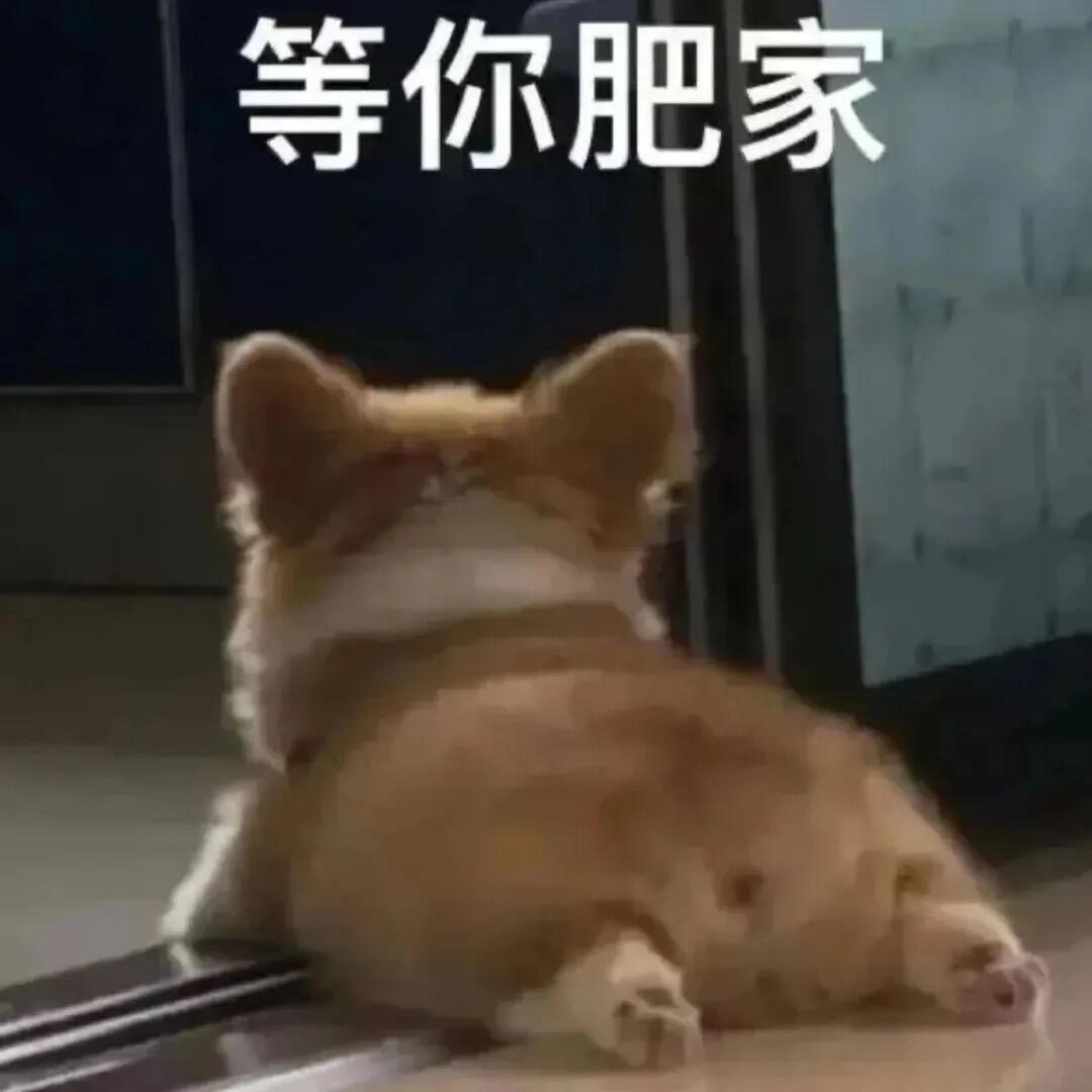𝗦𝗛𝗔𝗥𝗘 - 最近爱用的聊天表情包 夏日企画