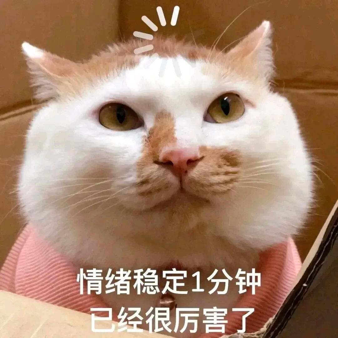 这👻天气把人要热4️⃣了，我咋这么讨厌天热呢，不是已经立秋了吗 