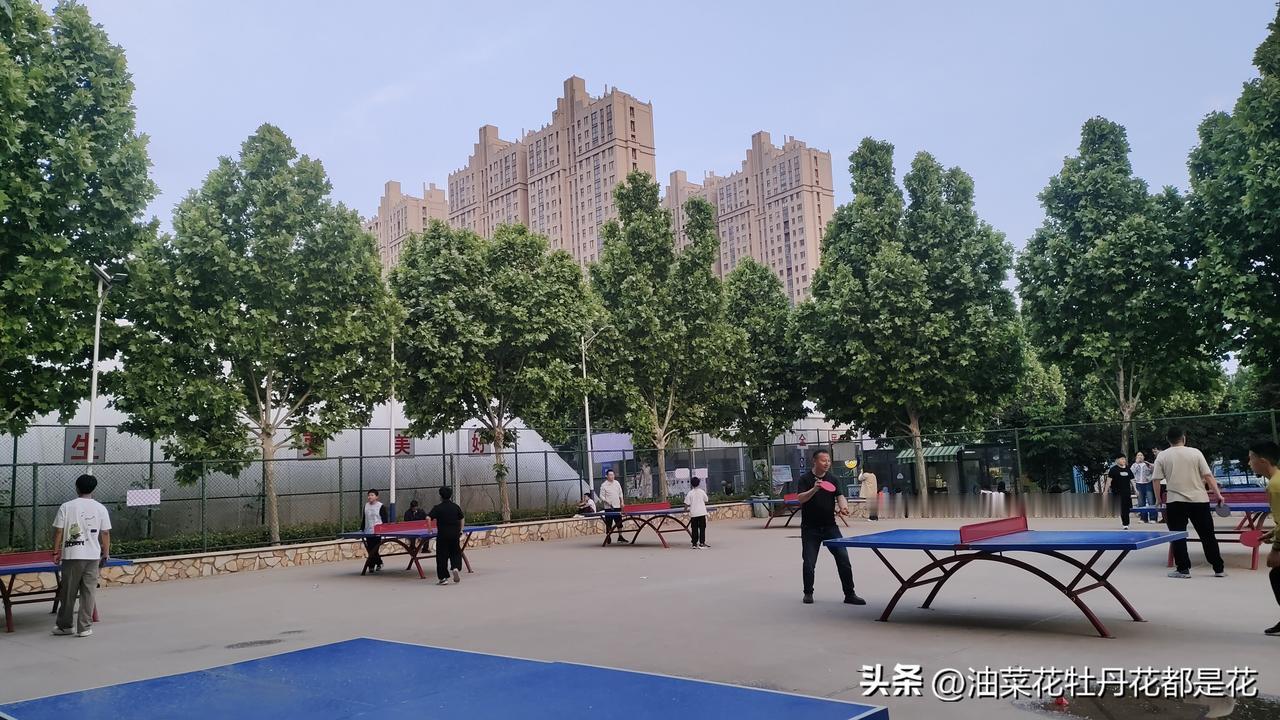 打乒乓球也会上瘾。
自从过完年带了一副乒乓球来，石先生一直在寻找附近免费的打球场