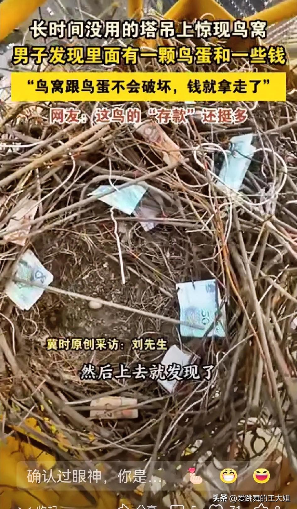 解释不清了！”陕西西安，一塔吊司机发现自己长时间没用的塔吊上发现了一鸟窝，更神奇
