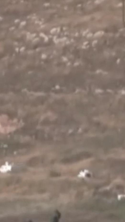 以色列军队在黎巴嫩南部地区军事行动继续，不管伊朗革命卫队如何威胁，6月26日以色