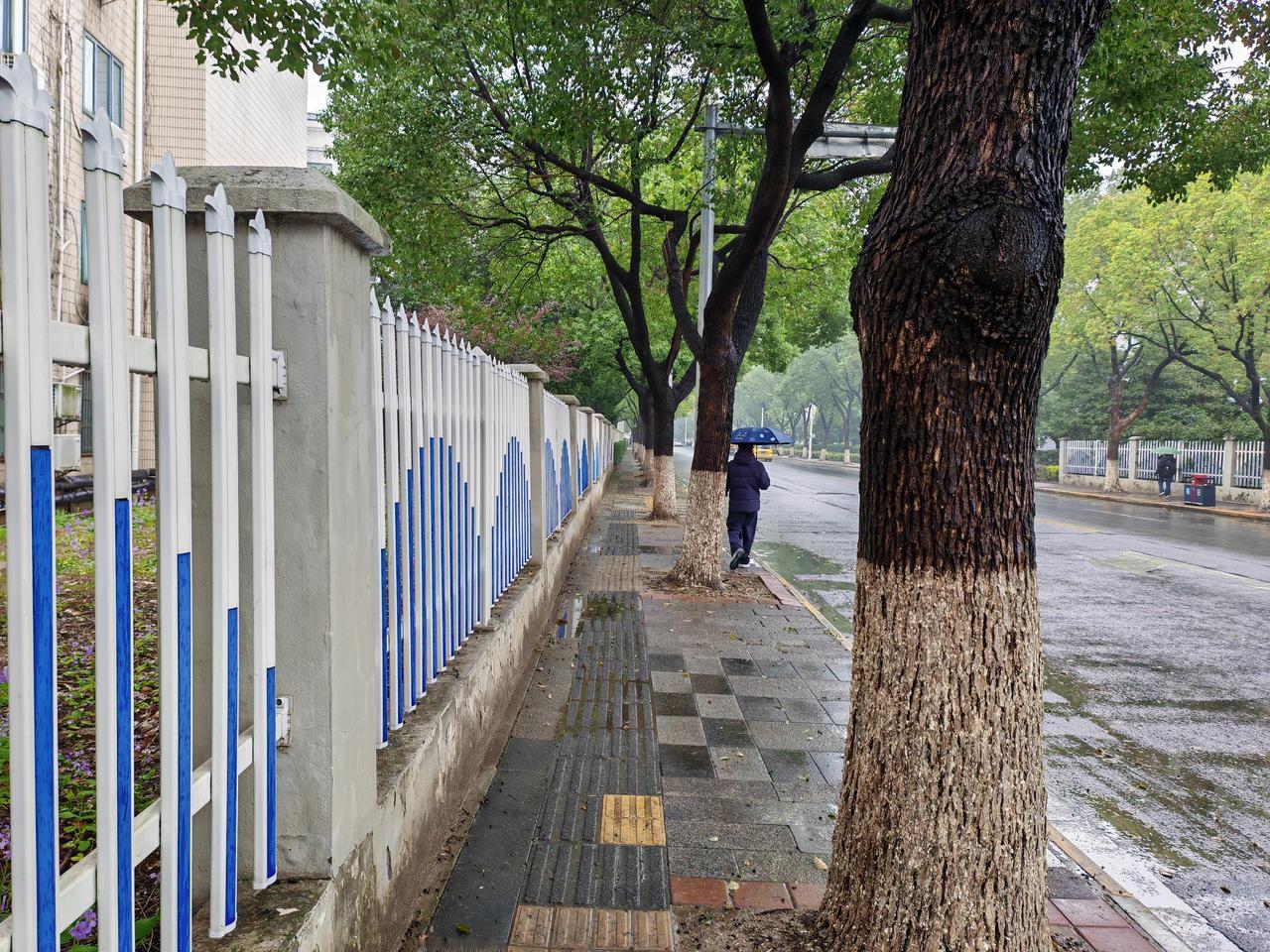 烟雨江南去无锡