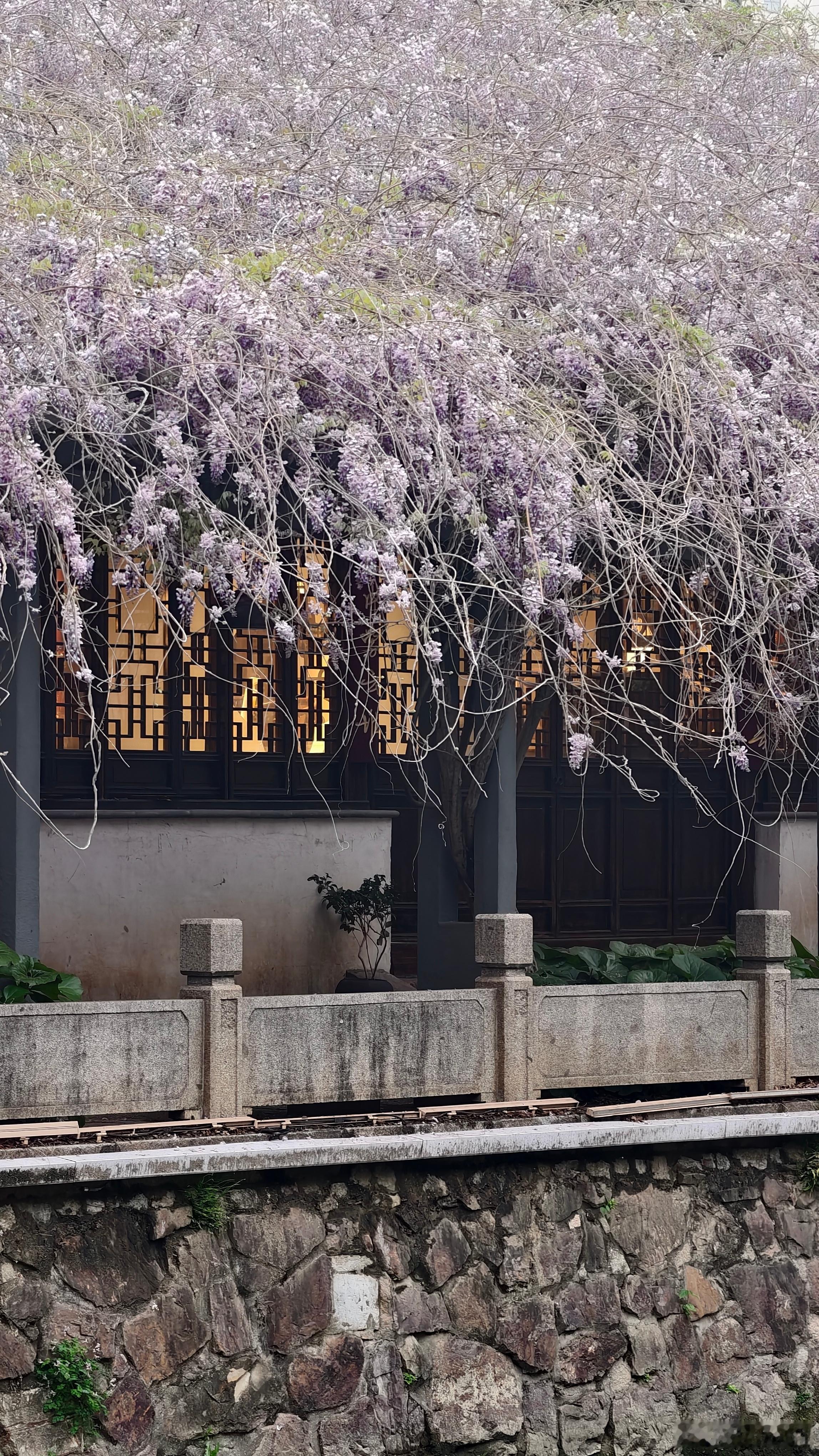 例行下班接娃，今天小包子狸表现不好，回家估计又是一番纷争。 