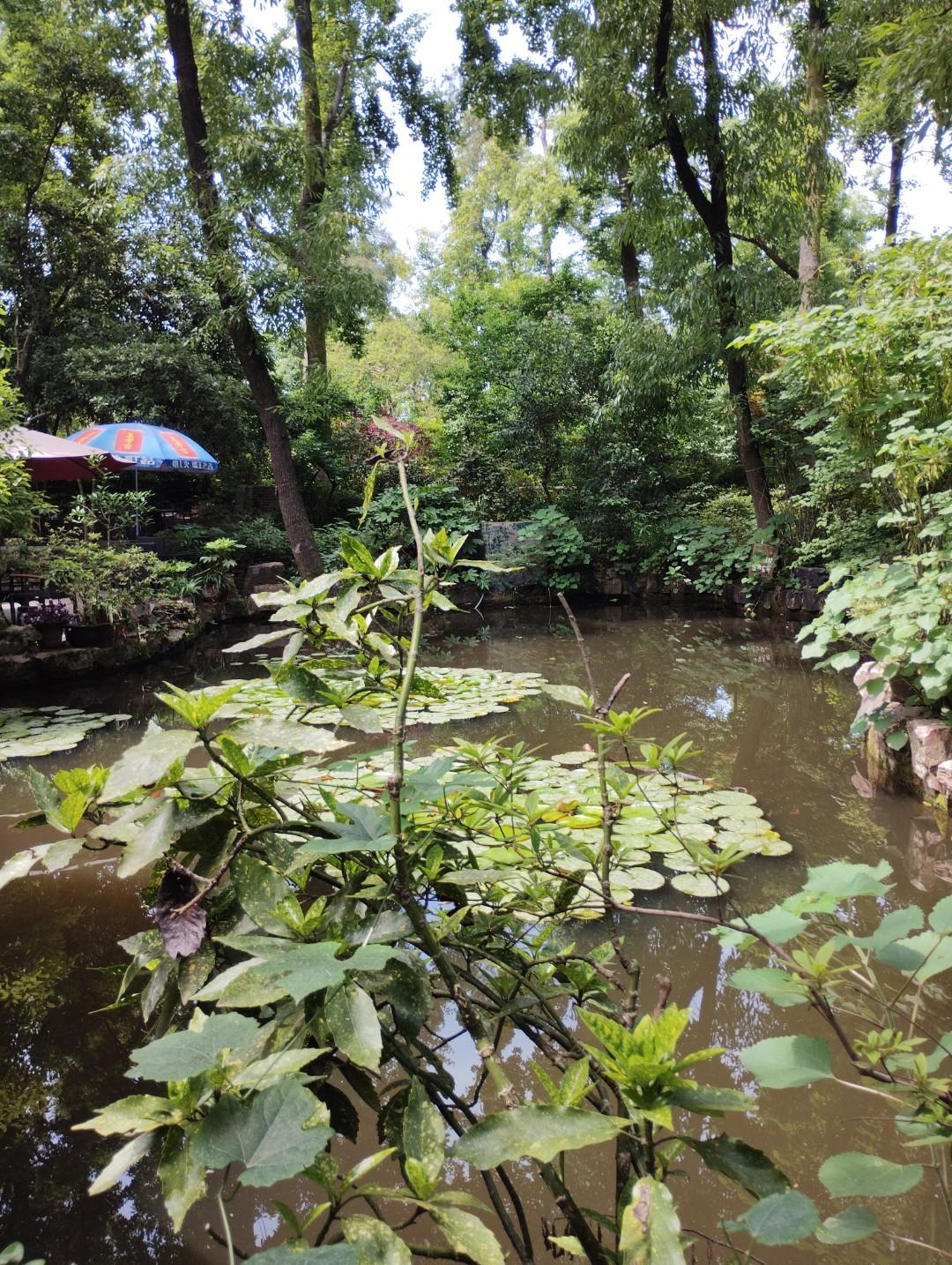 一个月涨1千粉丝对我来说应该是很快很快了。
因为我来头条都快1年了，我的粉丝量今