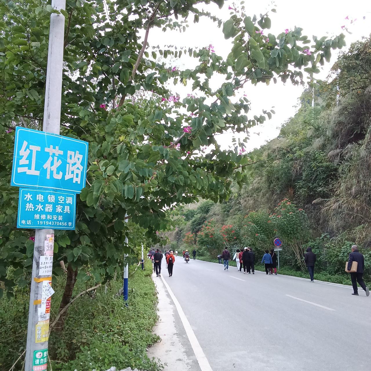 我的回答是肯定的。

广西的好，我在慢慢体会中现在就给大家分享三点。

第一，巴