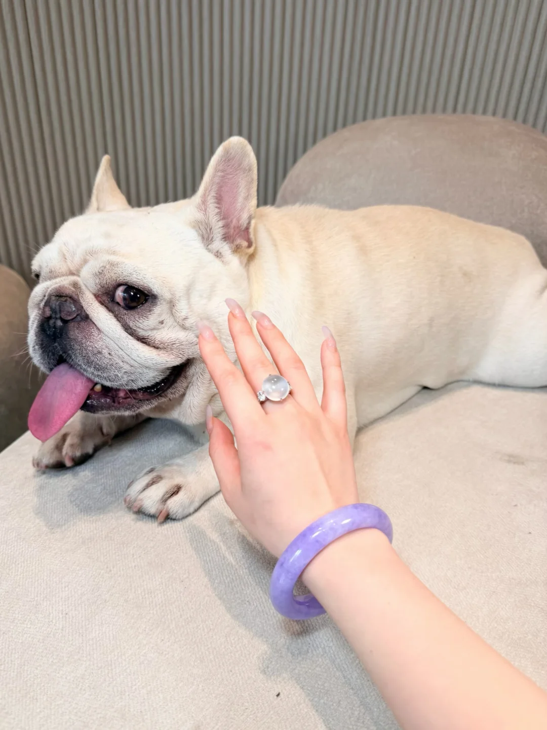 紫色果然很有韵味🕊️孩子非要买