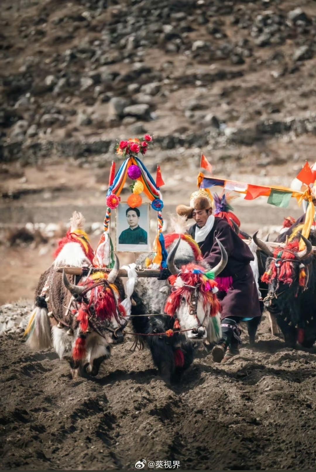 没有毛主席，就没有西藏人民的大解放！

西藏人民是好样的，西藏人民不忘本！ ​​
