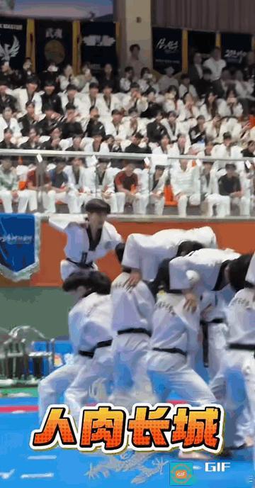 韩国跆拳道团体表演人仰马翻式踢木板

母婴店：很花哨，但实战能力很差。

在花式