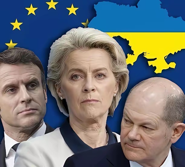 一旦欧盟把技术搞到手，中国企业再把工厂建起来，马上就会像非洲的尼日尔那样，驱逐中