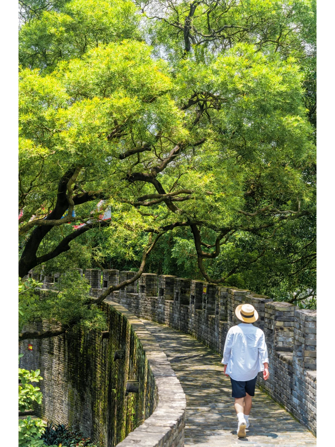 不是北京！这是广州最美的古长城~