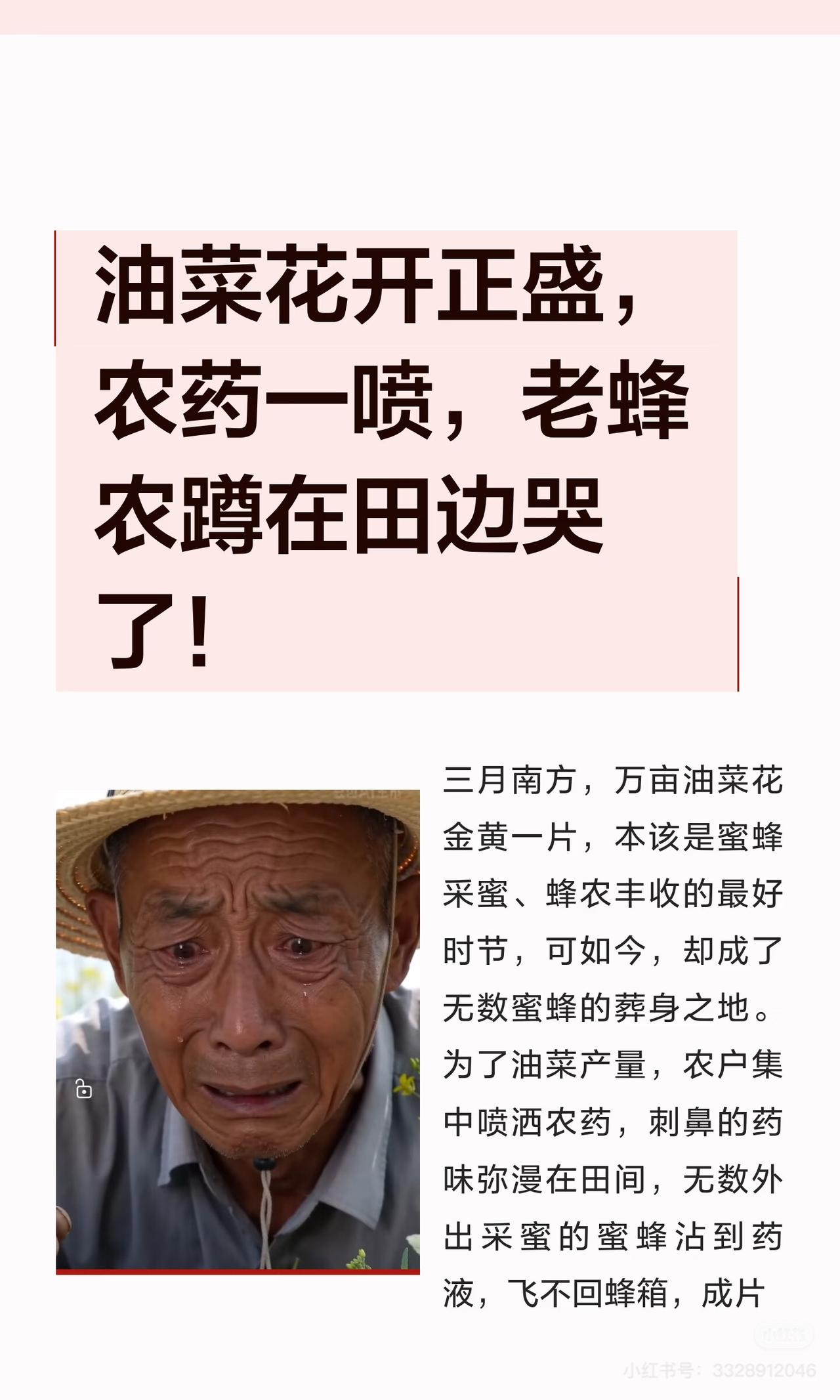 油菜花期乱喷药的离谱事真是越扒越有 不查不知道，一查吓一跳 江西南昌有蜂农看着蜂