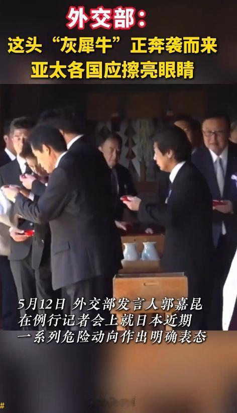 5月12日报道，当前亚太地区安全局势正面临不容忽视的 “灰犀牛” 风险。所谓 “