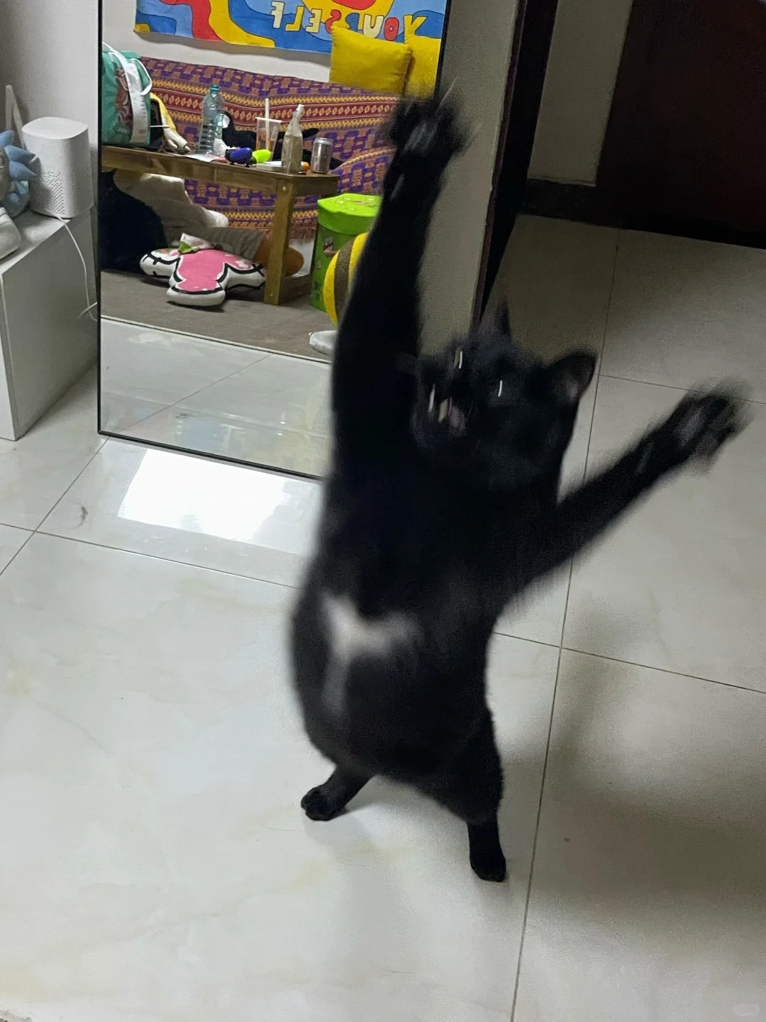 吃我一掌流光飞舞喵喵拳！哈呼！