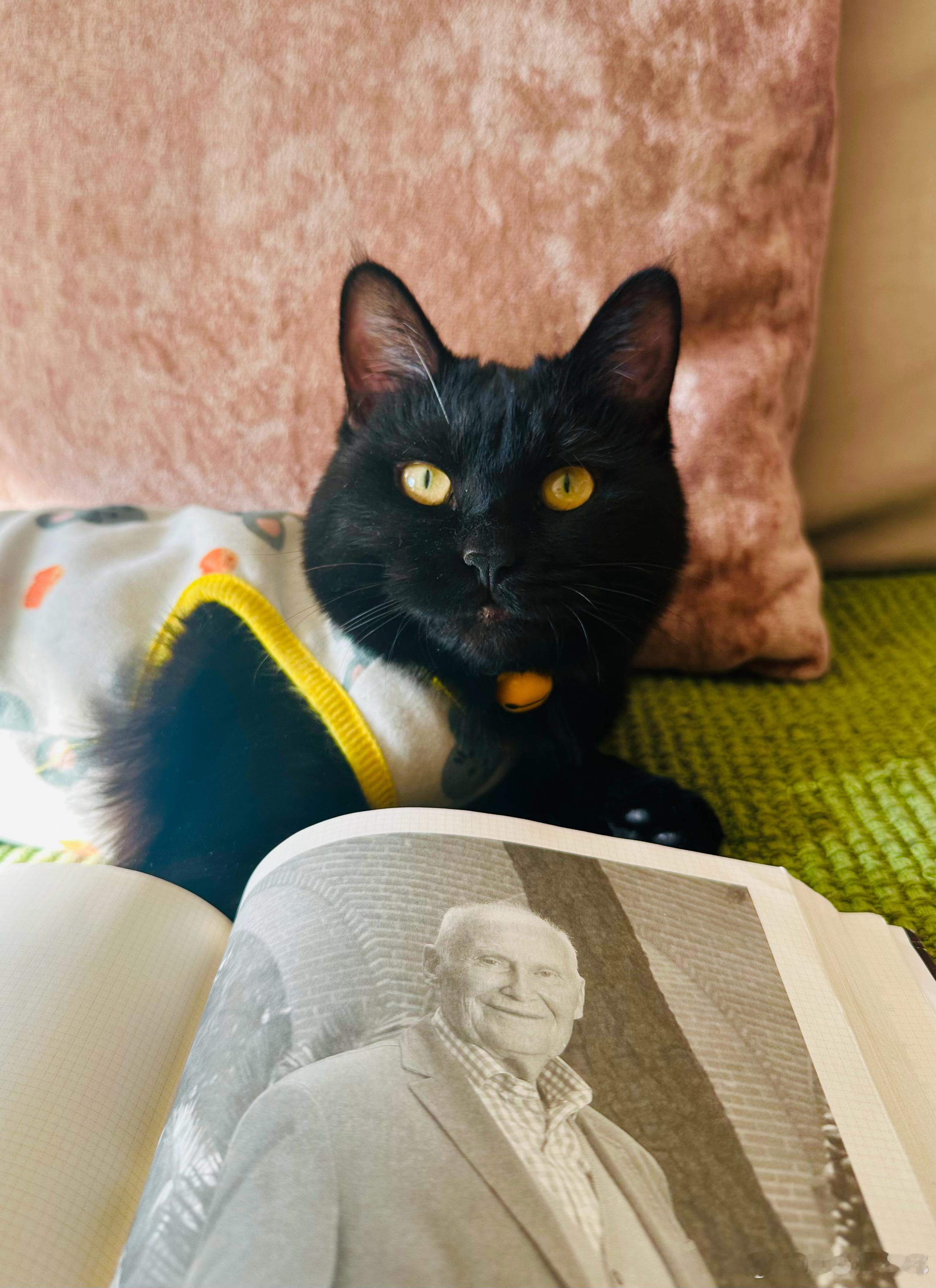 要么勇敢走向事实和真相，要么盲目行事，没有中间地带。 