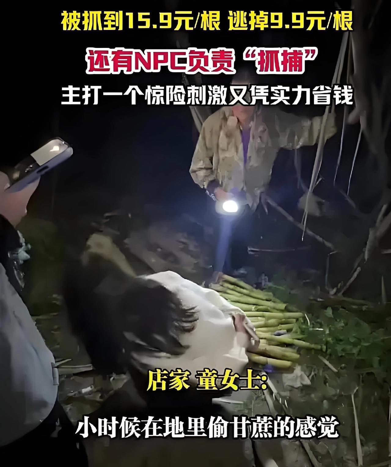 现在的人真是压力太大了，

“偷个甘蔗”也能玩的这么不亦乐乎，

每天晚上都有几