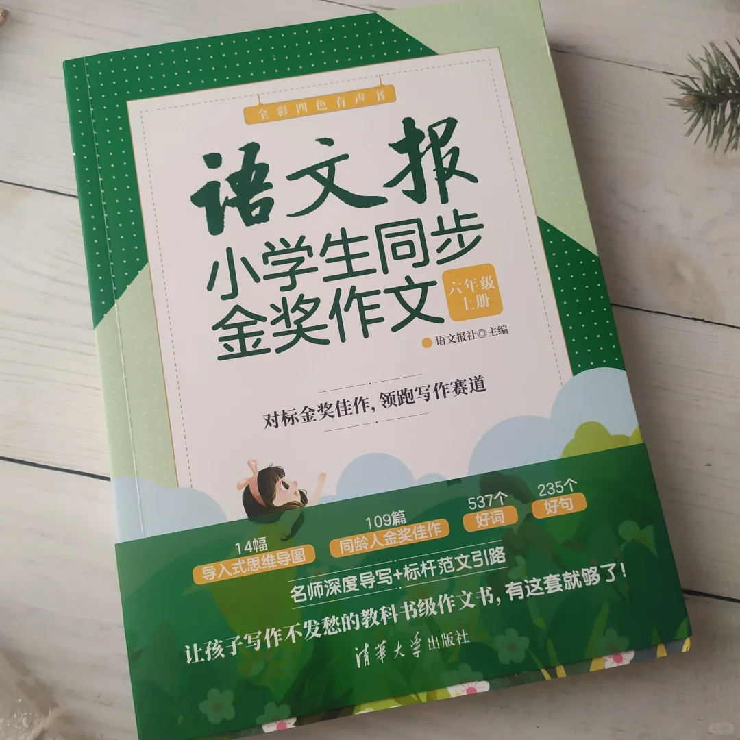 精讲作文 领跑写作