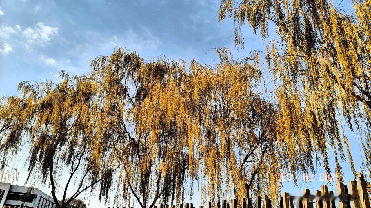 说说我吧！南方人，在北方打工
农民工，一个月能挣四千到五千块左右
工地干活，在北