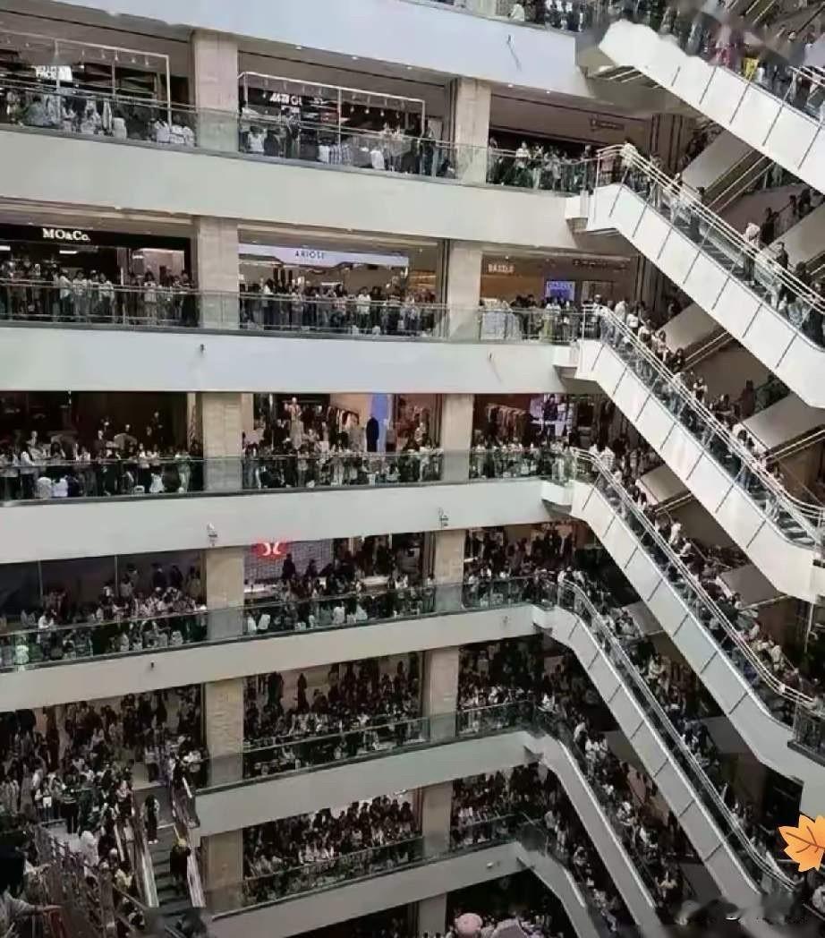 通报最扎心的，不是“1154.6万”这个数字，而是监控里那个沉默的早晨：11点4