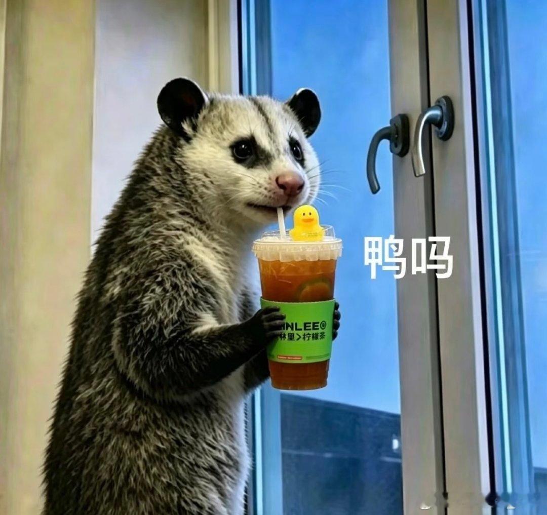 今日份！已🦆干杯🍻 